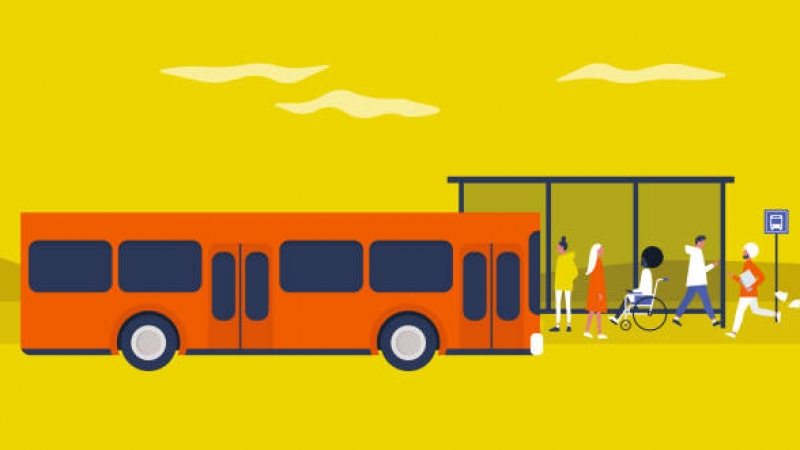 (1)y lico transport.jpg